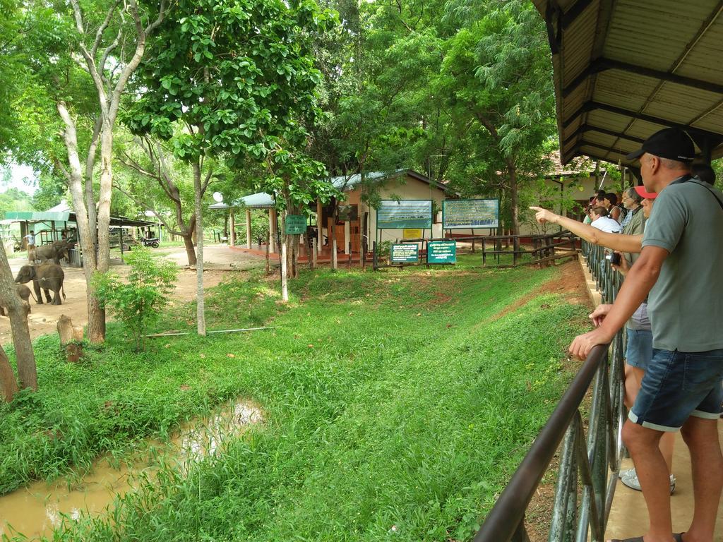 Brookline Safari Resort Udawalawe Bagian luar foto