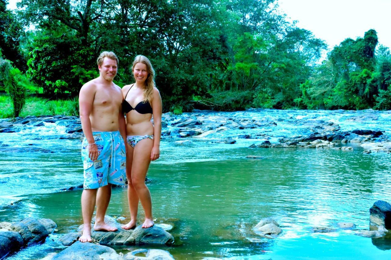 Brookline Safari Resort Udawalawe Bagian luar foto