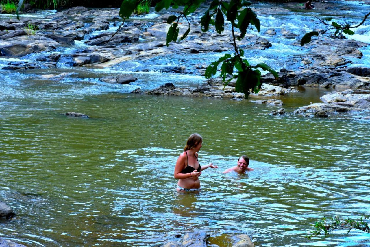 Brookline Safari Resort Udawalawe Bagian luar foto