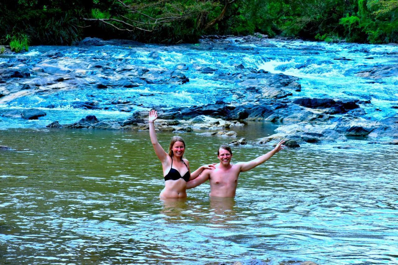 Brookline Safari Resort Udawalawe Bagian luar foto