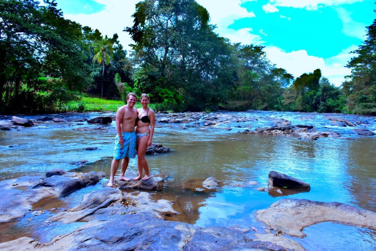 Brookline Safari Resort Udawalawe Bagian luar foto
