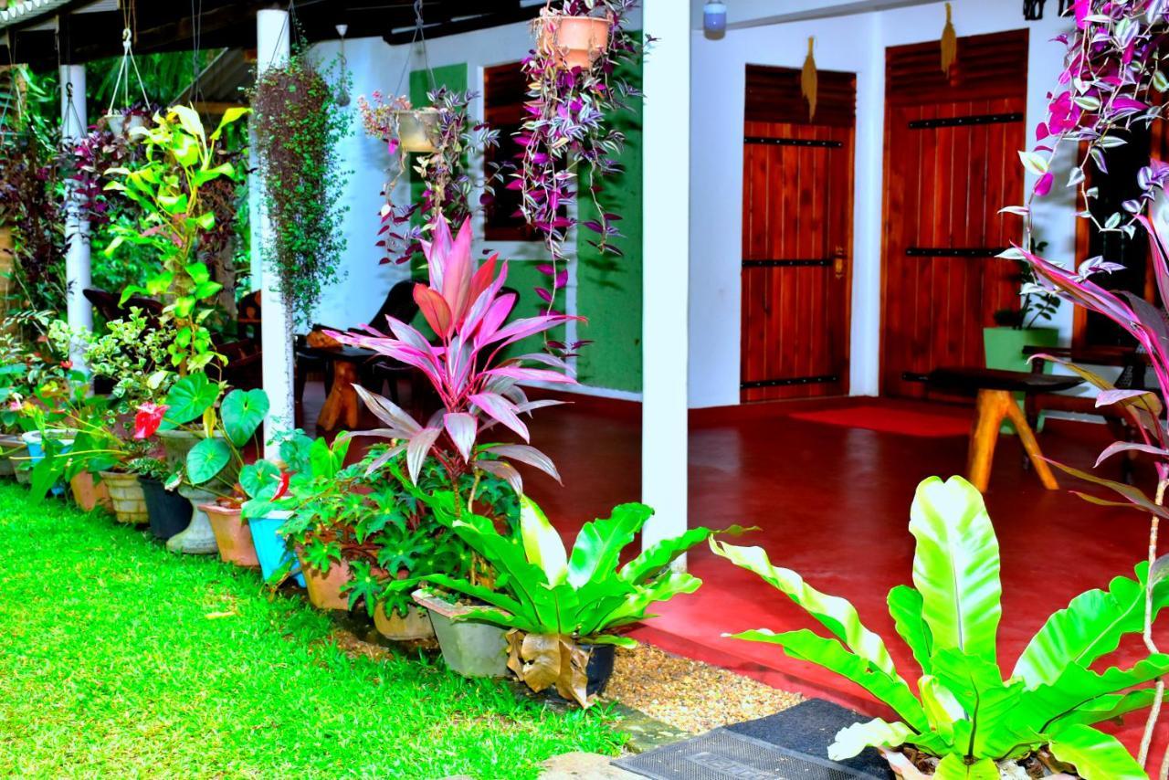Brookline Safari Resort Udawalawe Bagian luar foto