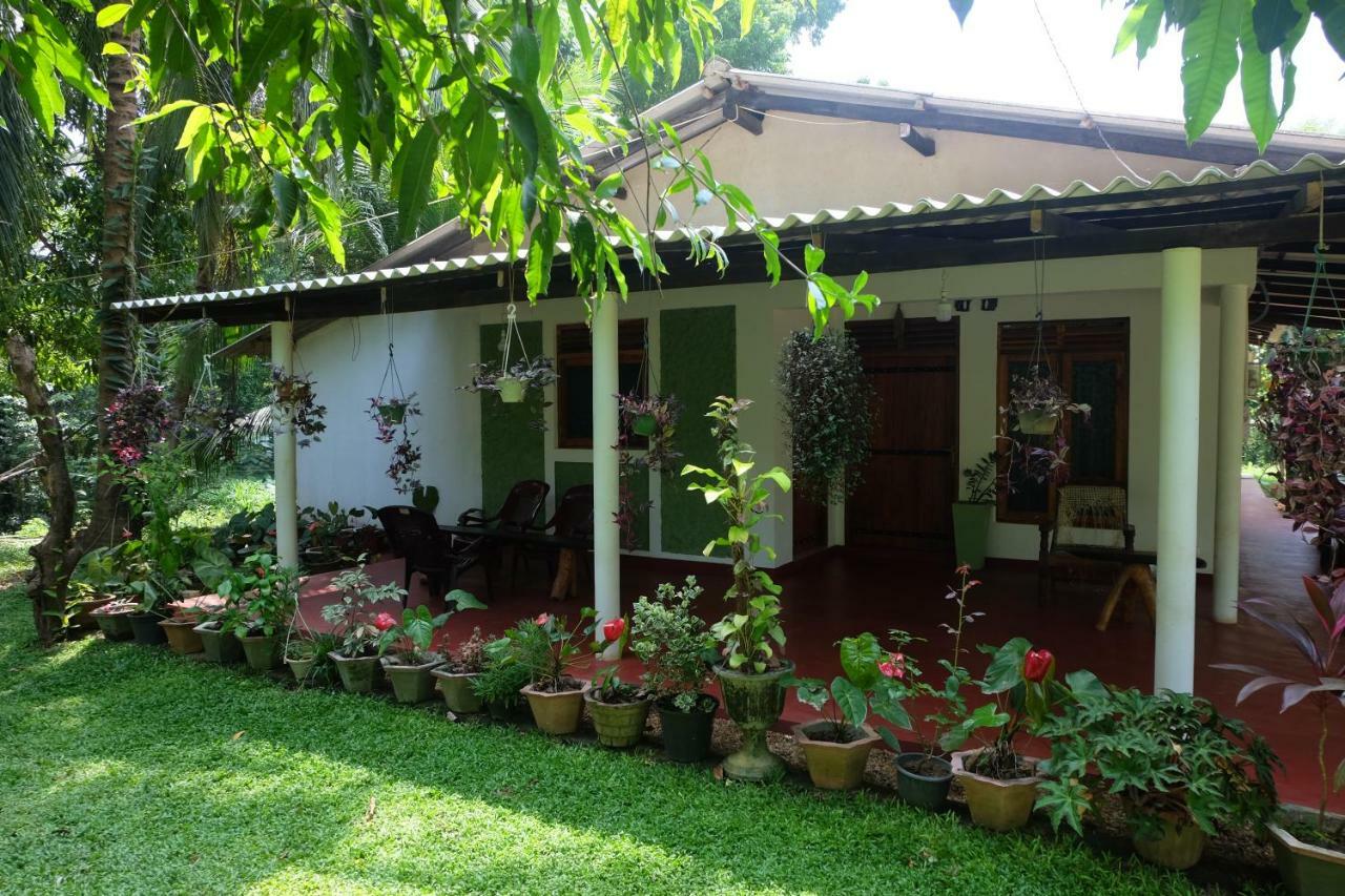 Brookline Safari Resort Udawalawe Bagian luar foto