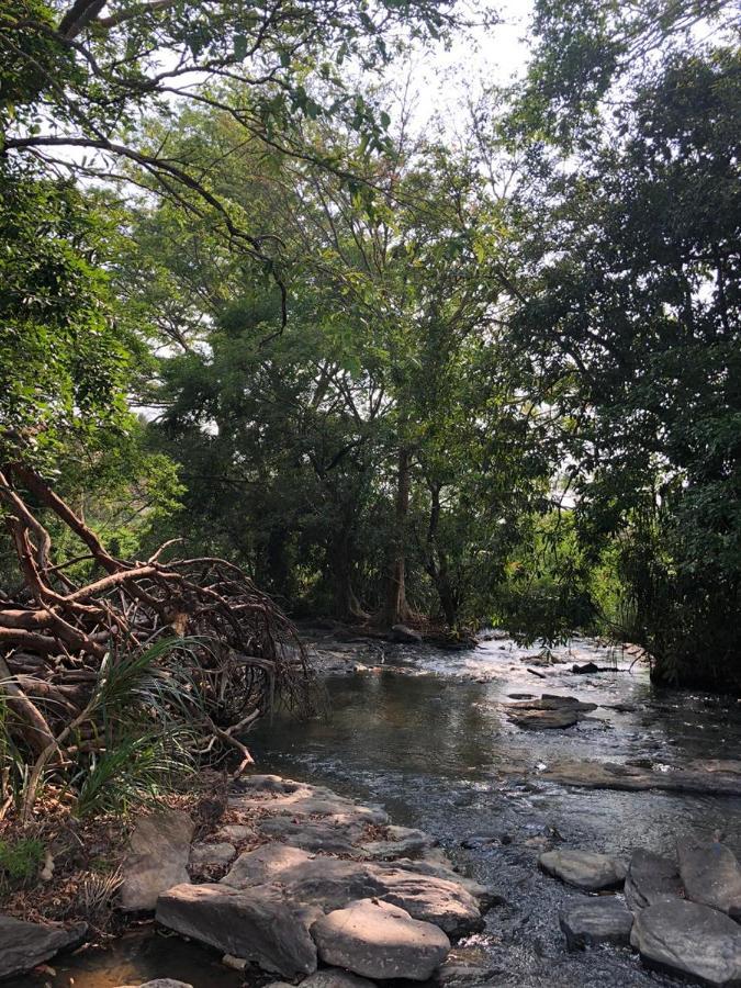 Brookline Safari Resort Udawalawe Bagian luar foto